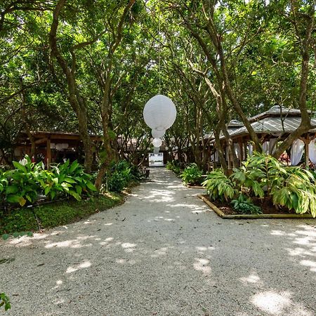 マイアミ Magical Wonderkoi House In A Japanese Koi Gardenヴィラ エクステリア 写真