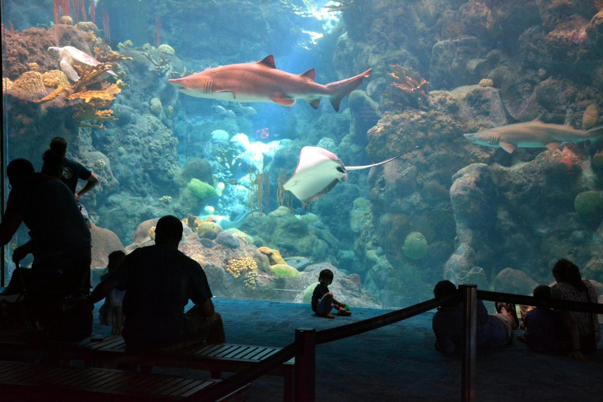 マイアミ Magical Wonderkoi House In A Japanese Koi Gardenヴィラ エクステリア 写真