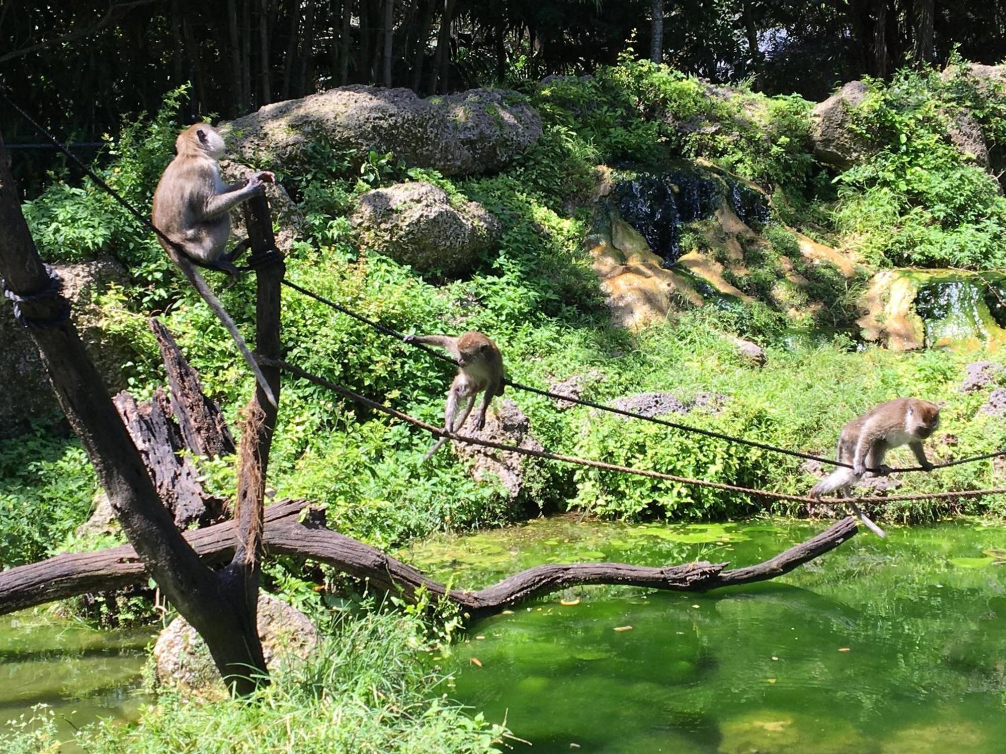 マイアミ Magical Wonderkoi House In A Japanese Koi Gardenヴィラ エクステリア 写真