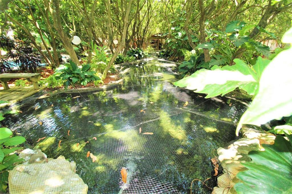 マイアミ Magical Wonderkoi House In A Japanese Koi Gardenヴィラ エクステリア 写真
